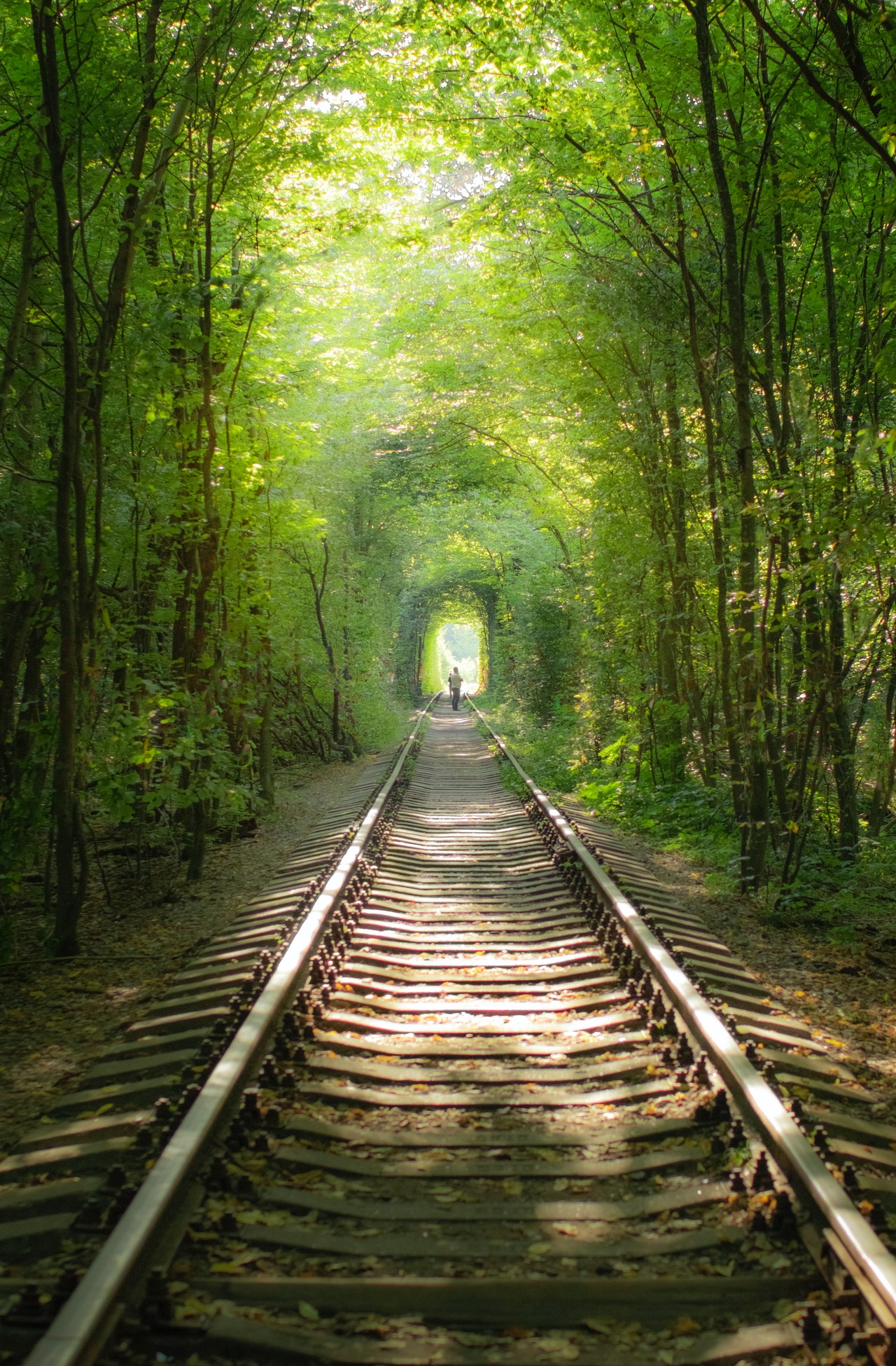 Rails - Summer Reports - image 1