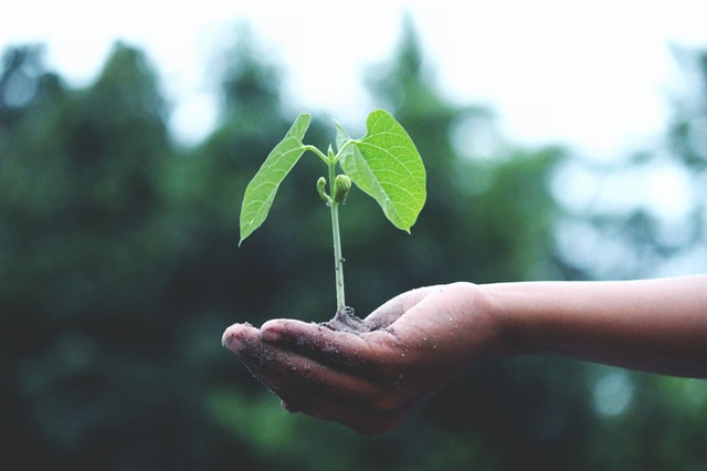 What, why, and how to set emission reduction targets? (Tyler Cole, Freightwaves) - image 1